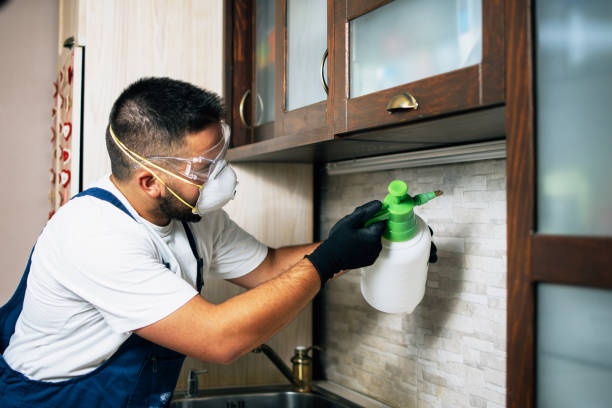 Best Pest Removal Services  in North Sea, NY
