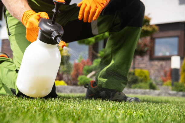 Wasp Removal Services in North Sea, NY