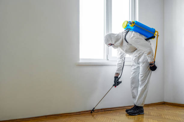 Best Termite Control Services  in North Sea, NY