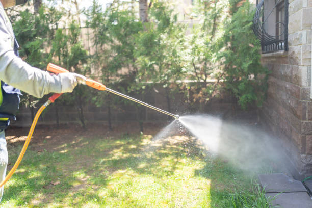Trusted North Sea, NY Pest Control Experts