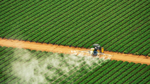 Best Best Pest Control Companies  in North Sea, NY