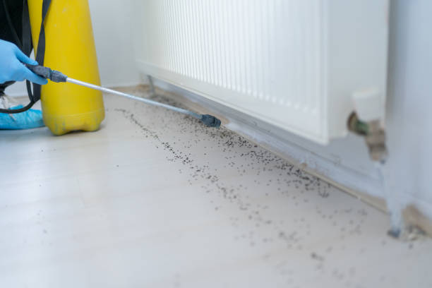 Best Mosquito Control Services  in North Sea, NY