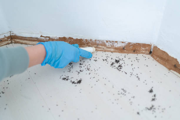 Best Pest Removal Services  in North Sea, NY