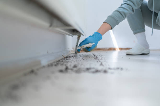 Pest Prevention Services in North Sea, NY